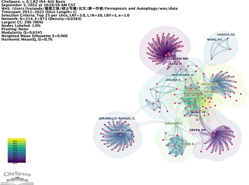 Figure 6. The co-citation analysis of authors.