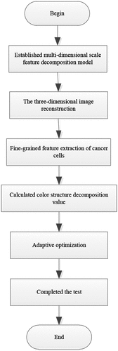 Figure 4. Cancer image edge detection flow.