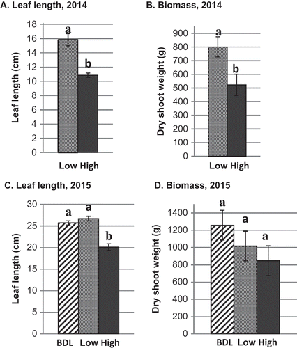 Fig. 3 Leaf length and biomass of clubroot-resistant napa cabbage cultivars at adjacent sites at Muck Crops Research Station, Ontario in 2014 and 2015 with high, low and below detection limit (BDL, 2015 only) of resting spores of Plasmodiophora brassicae in the soil. Bars with the same letter do not differ at P = 0.05 based on Tukey’s multiple means comparison test. Capped lines = Standard error.