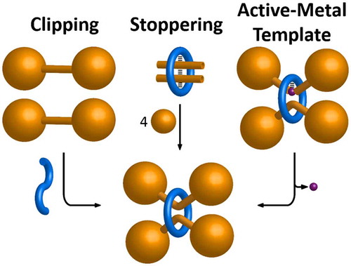 Figure 2. (colour online) Schematic representations of the synthetic strategies used to prepare multiply threaded rotaxanes. Hashed black lines illustrate attractive noncovalent bonding interactions that may be required between components. Purple spheres represent metal ions.