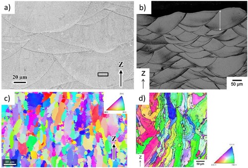 Figure 9. Melt pool structures as imaged along the build direction Z and corresponding grain orientation maps for (a,c) Al–10Ce [Citation124] and (b,d) Al–2.5Fe [Citation129] alloys manufactured by LPBF. Grain structures are primarily columnar, with individual grains extending across several melt pools. A single melt pool is denoted by the arrow in (b). Note the difference in scale between a and c. The box in (a) outlines a region on which further TEM analysis was performed in [Citation124]. Used with permission from Elsevier and Springer Nature.