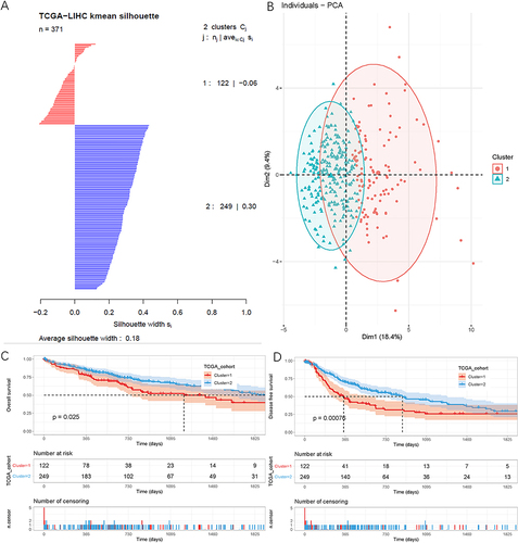 Figure 3 Samples were divided into 2 clusters based on CD8 Tex-related lncRNAs. (A) Silhouette coefficient of each sample in two clusters. (B) PCA analysis of the two clusters. (C–D) Patients in cluster 1 suffered significantly worse prognosis than those in cluster 2. (C) OS. (D) DFS.