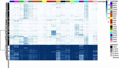 Figure 3. A 305-probe classifier set derived from five core tumour types used to classify tumours according to histology for 19 human malignancies. A heatmap of methylation beta values for 305 probes (rows) in 1900 samples (columns) from the training set of 19 tumour types. Columns are annotated by colour representing histologically confirmed tumour type. CpG probes in rows are hierarchically clustered. Samples in columns are clustered by tumour type and by sample type (tumour and normal). Annotation colours of rows and columns and the beta value colours are the same as on Figure 1. See Figure 1 legend for details.