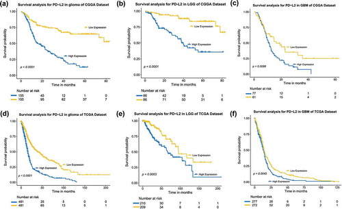 Figure 5. The PD-L2 survival curves of glioma, LGG and GBM in CGGA and TCGA cohorts. Kaplan–Meier survival analysis showed that high expression of PD-L2 conferred a significantly worse prognosis in glioma, LGG and GBM patients, respectively.