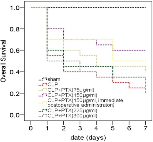 Figure 1 Effects of paclitaxel on survival rates of septic mice. Survival curve of septic mice during a 7-day period. CLP mice were administered with 75, 150, 225, 300 μg/kg paclitaxel or vehicle (sterile 0.9% saline) 2 hrs after CLP or 150 μg/kg paclitaxel immediately after CLP. Sham, n=10; CLP and CLP + paclitaxel, n=20. Survival rates among groups were analyzed using Kaplan–Meier analysis and log-rank tests. We compared CLP group with CLP + paclitaxel group and calculated P-value marked in the figures. P-value between CLP group and CLP + paclitaxel (75 µg/mL) group was 0.276. P-value between CLP group and CLP + paclitaxel (150 µg/mL) group was 0.024. P-value between CLP group and CLP + paclitaxel (150 µg/mL, immediate postoperative administration) group was 0.073. P-value between CLP group and CLP + paclitaxel (225 µg/mL) group was 0.527. P-value between CLP group and CLP + paclitaxel (300 µg/mL) group was 0.940.