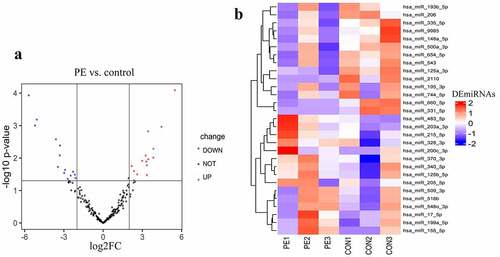 Figure 2. Differentially expression analysis. (a) volcano plot of differentially expressed miRNAs. (b) heat map of differentially expressed miRNAs