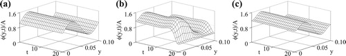 Figure 13. (a) The exact φ(y,t) given by (Equation46(46) φ⋆(y,t)=0.5A⋅sin2πyLy+A,(y,t)∈[0,Ly]×[0,T],(46) ) and the numerical solutions obtained with (b) κ=0 and (c) κ=103 after 30 iterations, for exact data (p=0), for Example 4.