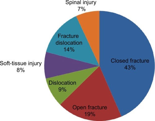 Figure 1 Types of injury among TBS attendants.