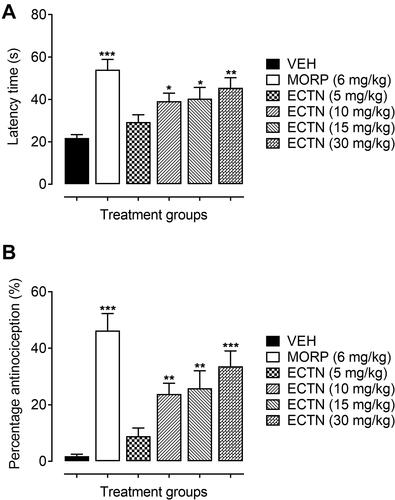 Figure 2 Antinociceptive effect of ERCN and MORPH in the hot-plate test. Effect of eriocitrin on latency time (A), and percentage nociception inhibition (B). Each column represents mean latency time in seconds or percentage antinociception±SEM. *P<0.05, **P<0.01, ***P<0.001 as compared to the VEH administered group, one-way ANOVA followed by Dunnett’s post hoc test, n=6 mice per group.Abbreviations: ERCN, eriocitrin; MORPH, morphine; VEH, vehicle.