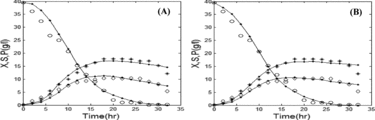 Figure 6. Comparison of the experimental and simulated data of batch fermentation by the Contois model by using GA (a) and PSO (b). Experimental concentrations of X (٭), S (○), and P (◊) vs. simulated data (solid lines). Note: X, biomass (B. licheniformis); S, substrate (glucose); P, product (protease). Initial concentration of substrate is 40 g/L.