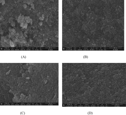 Figure 2. SEM images of iron oxide and doped iron oxide nanoparticles (A) Iron oxide, (B) Co doped iron oxide, (C) Ni doped iron oxide, (D) Zn doped iron oxide.