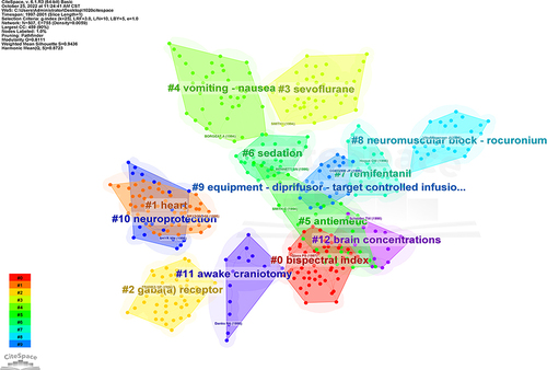 Figure 11 Cluster network graph of references in propofol-related articles.