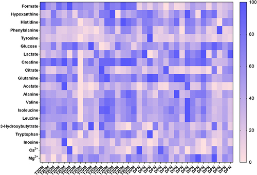 Figure 2 A heat map revealed the relative concentrations of twenty metabolites between the T2DM group and DPN group. The different colors were corresponding to different values in the right palette (0–100%).