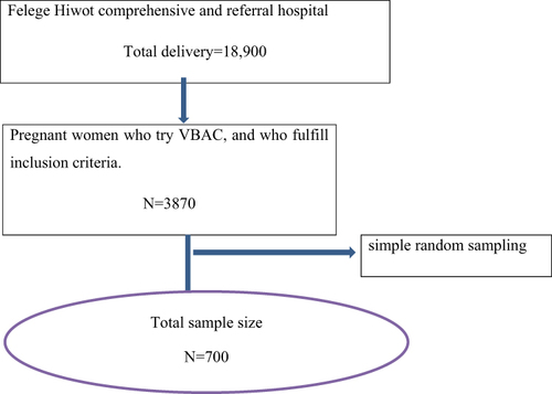 Figure 1 Schematic representation of sampling technique at FHCSH Northeast Ethiopia.