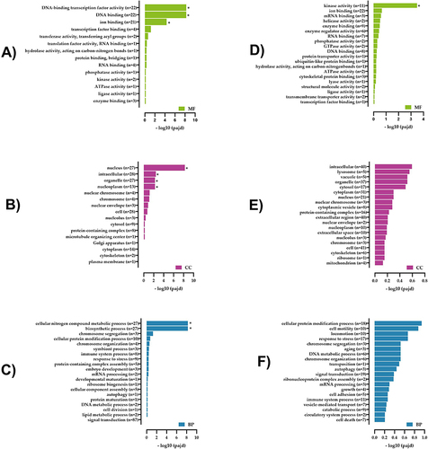 Figure 6 Gene Ontology enrichment analysis of differentially expressed lncRNA target genes and mRNAs in the T2DM and healthy groups. (A) Molecular functions (MF), (B) cellular components (CC), and (C) biological processes (BP) of lncRNA target genes. (D) MF, (E) CC, and (F) BP of mRNA.