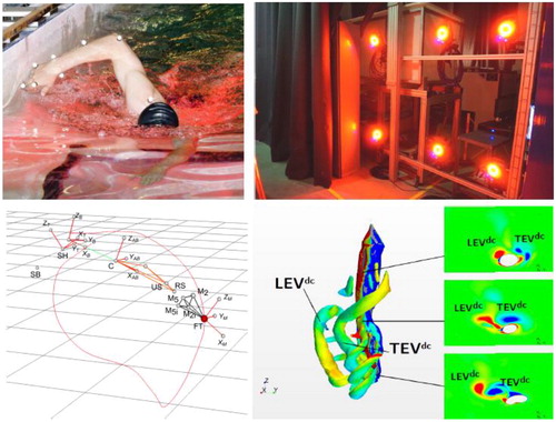 Figure 1. Numerical and experimental tools used in the P’ Institute to study the flow in swimming.