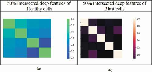 Figure 8. Heat map of 50% intersected features: (a) healthy cells and (b) blast cells.