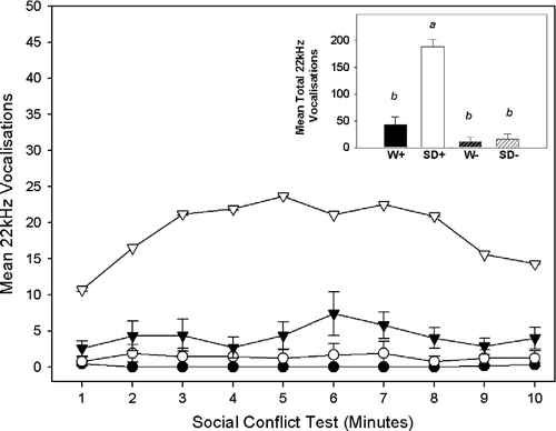 Figure 3  The main graph shows the mean ( ± SEM) number of ultrasonic vocalisations for each of the 10 min of a social conflict encounter. Four groups (n = 10/group) are represented: Wistar (▾) and Sprague Dawley (▿) intruders (W+/SD+) and Wistar (•) and Sprague Dawley (○) sham intruders (W − /SD − ). The inset bar graph shows the total mean ( ± SEM) number of ultrasonic vocalisations during the 10 min of social conflict for each of the four groups: a, represents a significant difference from Wistar intruders (W+) at p < 0.01; b, represents a significant difference from Sprague Dawley intruders (SD+) at p < 0.01.