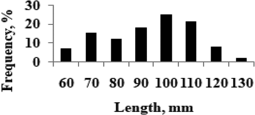 Figure 1. Length distribution of fiber.
