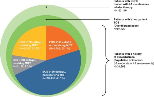 Figure 2 Patient population overview.