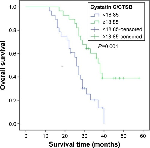 Figure 5 Kaplan–Meier curve of overall survival for patients with low and high levels of CTSB.