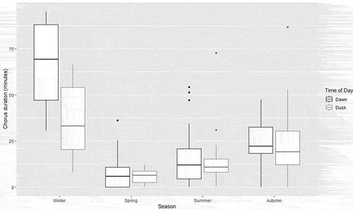 Figure 2. Chorus duration (time spent calling in minutes) of Eastern Ground Parrots in Noosa National Park, SE Queensland, across season and time of day. The box plot demonstrates the dawn chorus in winter was longer than dusk, although most seasons showed minimal difference between the median lines.
