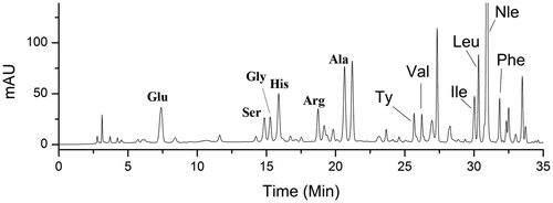 Figure 3. Typical HPLC-UV chromatogram (254 nm) of rat serum after PITC derivatization. Glu: glutamate; Ser: serine; Gly: glycine; His: histidine; Arg: arginine; Ala: alanine; Ty: tyrosine; Val: valine; Ile: isoleucine; Leu: leucine; Nle: norleucine; Phe: Phenylalanine; PITC: phenylisothiocyanate.