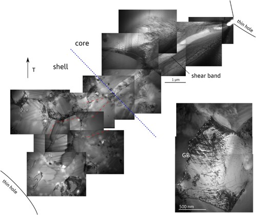 Figure 21. Overview of deformation at the shell-core interface between two holes in a TEM foil. In the core a marked shear band develops leading to a delocalized deformation in the shell. Inset: zoom in a shell grain showing numerous slip traces from the grain boundary (GB).