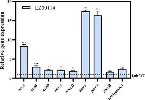 Figure 5 The gene transcriptional levels of pmrA, pmrB, eptA(pmrC), acrA, acrB, acrD, emrA, emrD and emrY were drawn by GraphPad Prism 9.2.0. *P < 0.05, **P < 0.01, ***P < 0.001 by Student’s t-test. The error bar represents the standard deviation of the mean.