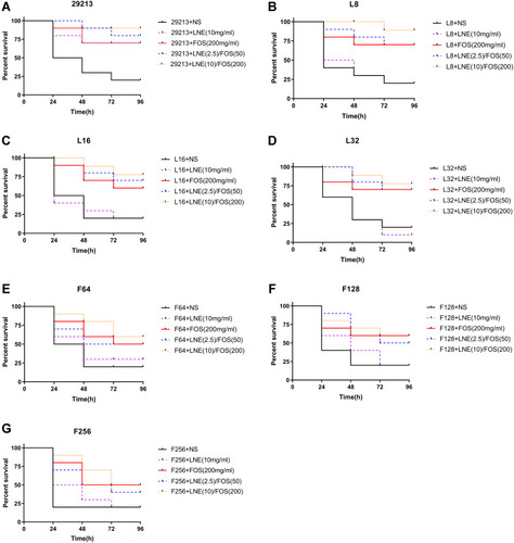 Figure 4 Survival curves of S.aureus infected Galleria mellonella larvae treated with linezolid and fosfomycin at different concentrations alone or in combination (A) S. aureus ATCC 29213; (B–D) respectively represents S.aureus resistant to 8, 16, 32 mg/L of linezolid; (E–G) respectively represents S.aureus resistant to 64, 128, 256 mg/L of fosfomycin.