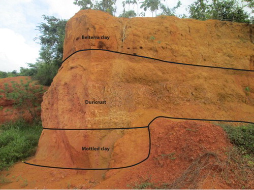 Figure 2. The tree top layers of the geological profile: the bottom of duricrust is columnar while the top of duricrust is nodular; the Belterra clay layer is thin in this area near the convex edge of the plateau (coordinates: −2.9686°/+47.3665°), the common profile observed.