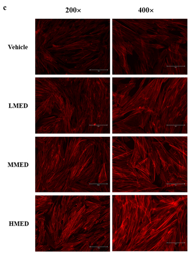 Figure 2. (Continued).