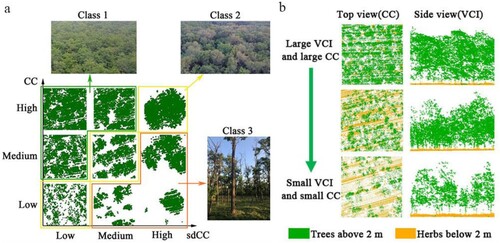 Figure 4. (a) The spatial configuration of canopy cover (CC) and standard deviation of canopy cover (sdCC). The green, yellow and orange boxes correspond to the three classes of sdCC. The pictures named Class 1, Class 2 and Class 3 were taken in the field. (b) The relationship between VCI and CC from two views.