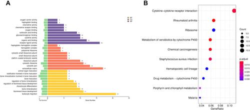 Figure 2 GO term and KEGG pathway analyses of DEGs. (A) Top 10 GO terms enrichment of DEGs. (B) Top 10 KEGG pathway enrichment of DEGs.