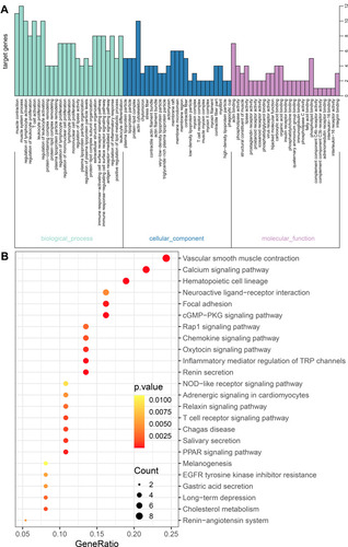 Figure 10 The GO and KEGG enrichment analysis for the genes in cluster 5 obtained based the MCODE method. (A) The biological processes and (B) KEGG pathways for genes in cluster 5.