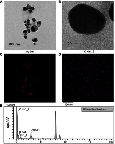 Figure 2 FETEM image of Tp-AgNPs at <100 nm (A) and 20 nm (B). EDS-based mapping of the Ag (C) and carbon in Tp-AgNPs (D). EDS chromatograph of Tp-AgNPs (E).Abbreviations: FETEM, field emission transmission electron microscopy; Tp-AgNPs, Talaromyces purpureogenus silver nanoparticles; EDS, energy-dispersive X-ray spectroscopy; Ag, silver.