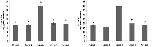 Figure 6. Effect of galangin on abnormal changes in liver free fatty acid and phospholipid levels in rats with STZ-induced hyperglycaemia. Data are presented as mean of six rats per group ± S.E. Groups 1 and 2 are not significantly different from each other (a, a; p < 0.05). Groups 4 and 5 are significantly different from Group 3 (b vs. a, ac; p < 0.05). Group 1: healthy control rats; Group 2: healthy control +8 mg galangin; Group 3: diabetic control; Group 4: diabetic +8 mg galangin; Group 5: diabetic +600 µg glibenclamide.