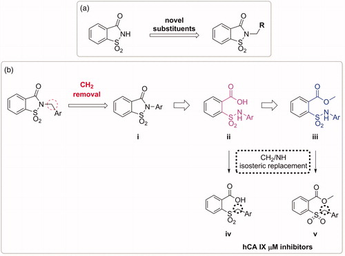 Figure 1. (a) The first design strategy proposed in this paper; (b) design and retrosynthetic approach for novel hCAs potential inhibitors.