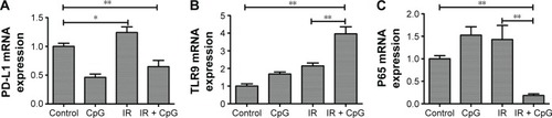 Figure 2 Effects of the combination of irradiation with CpG ODN 7909 on regulation of gene expression in H460 cells. H460 cells treated with CpG ODN 7909 alone or in combination with irradiation were subjected to qRT-PCR analysis of mRNA levels. All experiments were repeated three times. (A) PD-L1 level; (B) TLR9 level; (C) p65 level. *P<0.05 and **P<0.01 compared to the control.