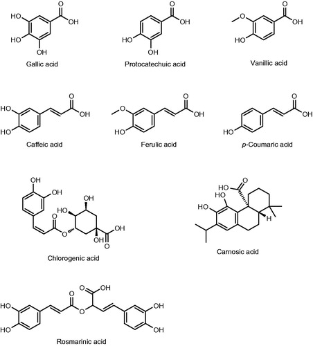 Figure 2. Characteristic phenolic acids of Satureja species.
