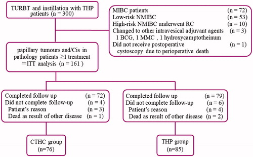 Figure 3. Diagram of this study. BCG: Bacillus Calmette-Guérin; Cis: carcinoma in situ; CTHC: three consecutive hyperthermia treatments combined with single instillations; MIBC: muscle invasive bladder cancer; NMIBC: nonmuscle invasive bladder cancer; MMC: mitomycin C; ITT: intention to treat; RC: radical cystectomy; TURBT: transurethral resection of bladder tumors; THP: pirarubicin.