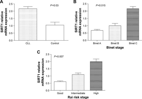 Figure 2 The SIRT1 mRNA expression in subjects.