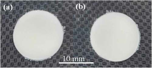 Figure 1. Visual appearance of antimicrobial plate: (a) solid and (b) porous plates