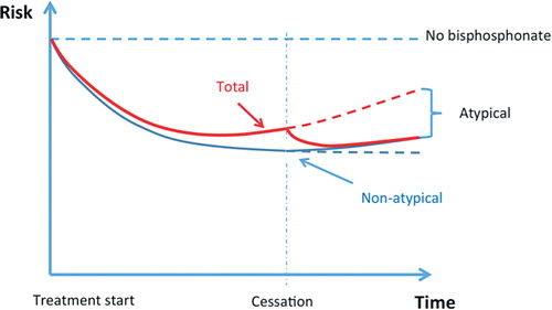 Figure 3. Schematic graph of risk over time, with arbitrary units. Blue curve: risk of fragility fracture; red curve: total fracture risk; dashed red line: projected total risk without cessation. The curves are based on the assumption that the protective effect against ordinary (non-atypical) fractures has a longer half-life than the risk of atypical fracture.