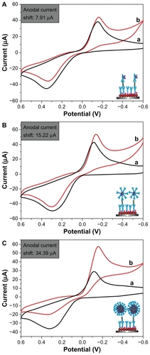 Figure 8 Cyclic voltammograms of the electrochemical sandwich immunosensors toward 5 ng/mL alfa-fetoprotein in the absence (A) and presence (B) of 5 mM H2O2 in an electrolytic cell in phosphate-buffered solution containing 2 mM hydroquinone by using various detection antibodies (a) HRP-anti-Ab2, (b) Au-HRP-Ab2, and (C) Fe3O4/Au-HRP-Ab2.Abbreviations: HRP, horseradish peroxidase; Ab2, secondary antibody.