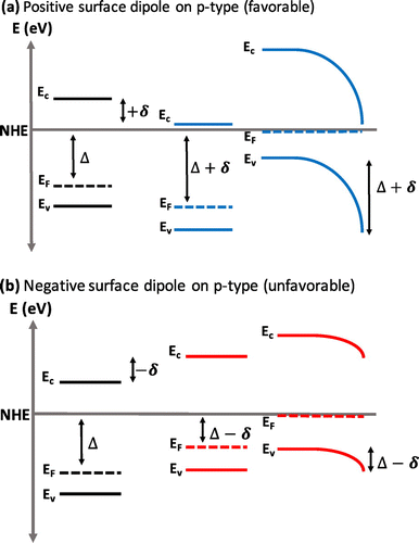 Figure 3. The effect of a (a) positive (favorable) and (b) negative (unfavorable) surface dipole on the band bending and depletion width of a p-type semiconductor.