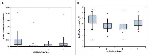 Figure 1. LncRNA expression in breast cancer patient populations which was acquired using an Affymetrix U133A array dataset, and is depicted by box-whisker-plots. In this analysis, ERRLR01 expression was stratified into 4 subpopulations, and the mean rank expression was reported (A). 1 = TNBC, n = 577; 2 = Luminal A, n = 1432; 3 = Luminal B, n = 632; 4 = HER2+, n = 301. ERRLR01 expression in the TCGA data set (B), and data are presented in a log(2) transformed format. 1 = TNBC, n = 154; 2 = Luminal A, n = 91; 3 = Luminal B, n = 538; 4 = HER2+, n = 53. *denotes significance at P < 1 × 10−16 as determined by Kruskal-Wallis one-way variance analysis testing.