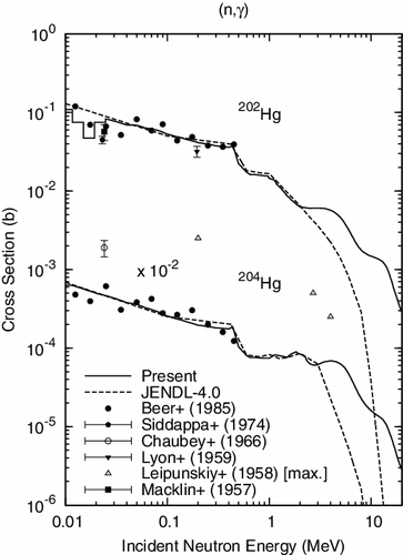 Figure 7. Capture cross sections of 202, 204Hg. The open symbols belong to 204Hg.