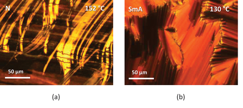 Figure 6. (Colour online) (a) The nematic texture and (b) the focal conic fan texture seen for CB5OABMe sandwiched between untreated glass slides.