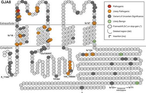 Figure 5. Position of literature reported GJA8 variants.